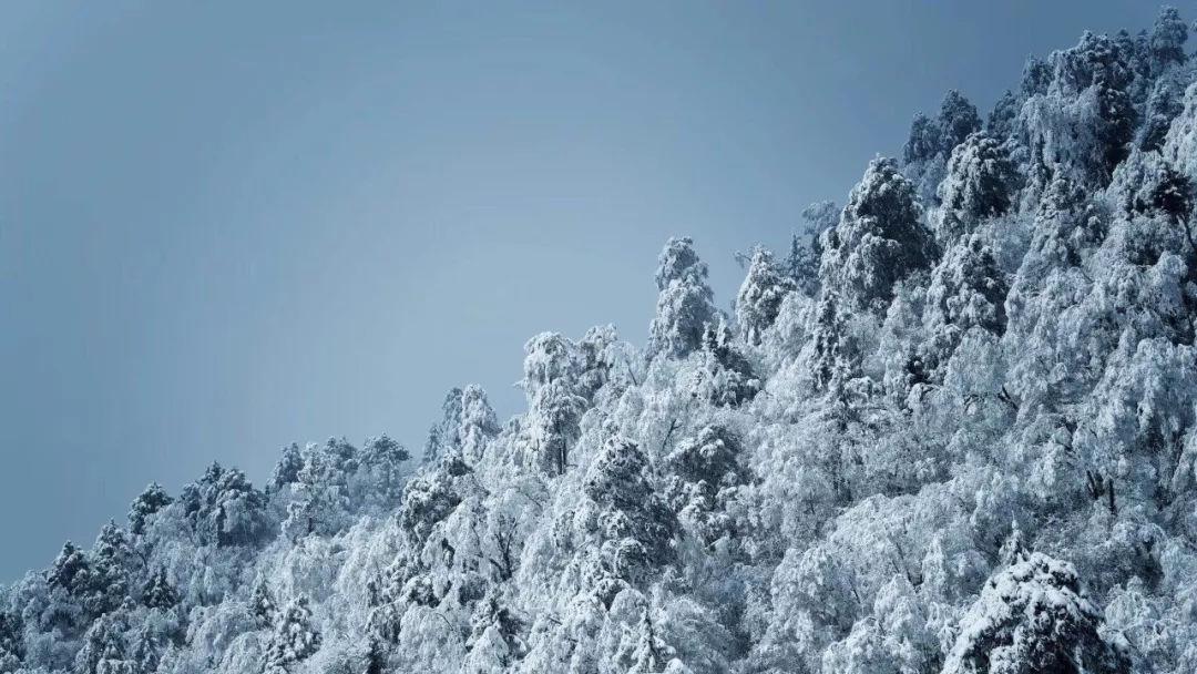 按点连线